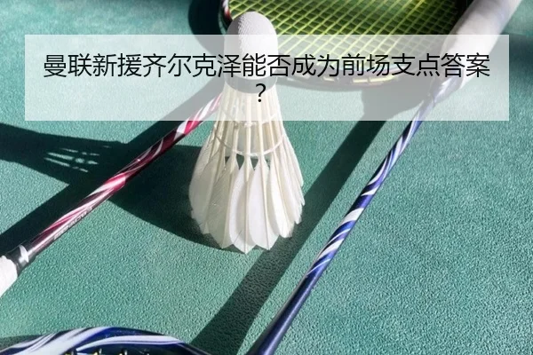 曼联新援齐尔克泽能否成为前场支点答案？